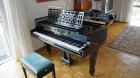 Original Steinway Sons Klaviersalonflügel 180 mit Klangbodenfeuchtereguli
